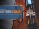 Violonistul Laurențiu STOIAN, 14 ani, susține un recital inedit la Conservatorul din Strasbourg