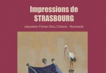 Vernisaj Florian Doru Crihana la Consiliul Europei din Strasbourg Vernisaj Crihana Strasbourg Expozitie pictura Florian Doru Crihana Consiliul Europei La Strasbourg 2017 Romani in Strasbourg