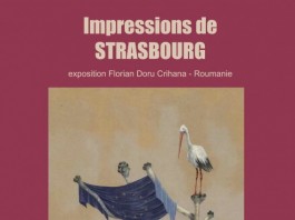 Vernisaj Florian Doru Crihana la Consiliul Europei din Strasbourg Vernisaj Crihana Strasbourg Expozitie pictura Florian Doru Crihana Consiliul Europei La Strasbourg 2017 Romani in Strasbourg