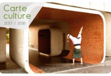 Carte culture – card de reduceri pentru studenți Carte Culture Strasbourg 2017 - Studenti Romani in Strasbourg - Romani la Strasbourg